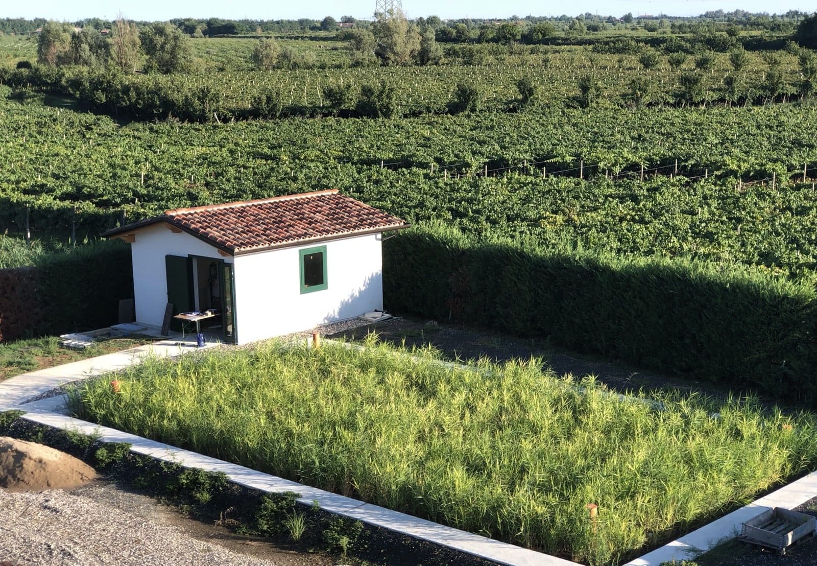 The phytodepuration plant among the vineyards