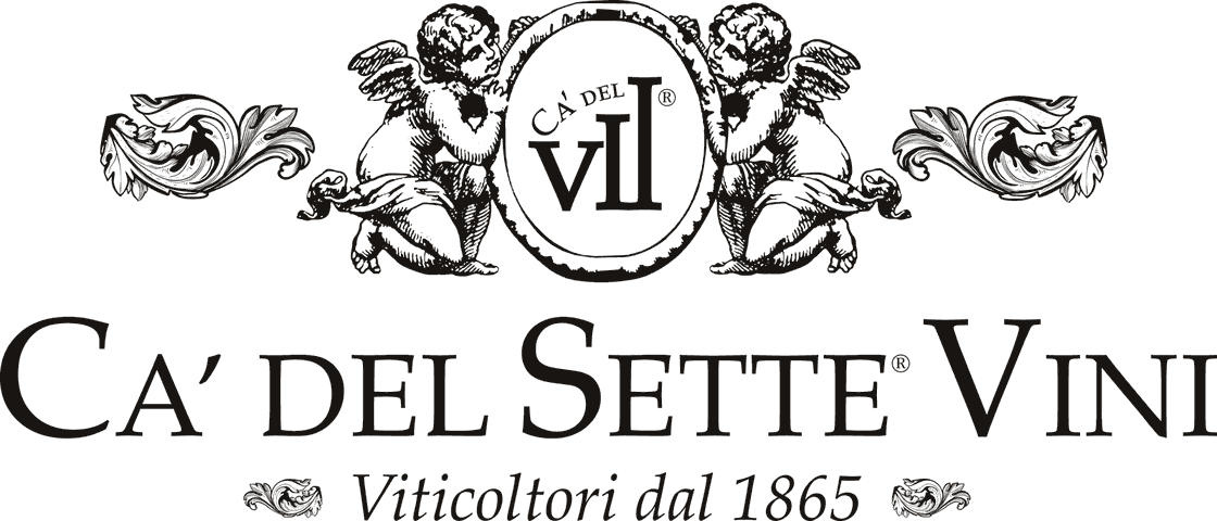 Ca' del Sette Vini, Viticoltori dal 1865