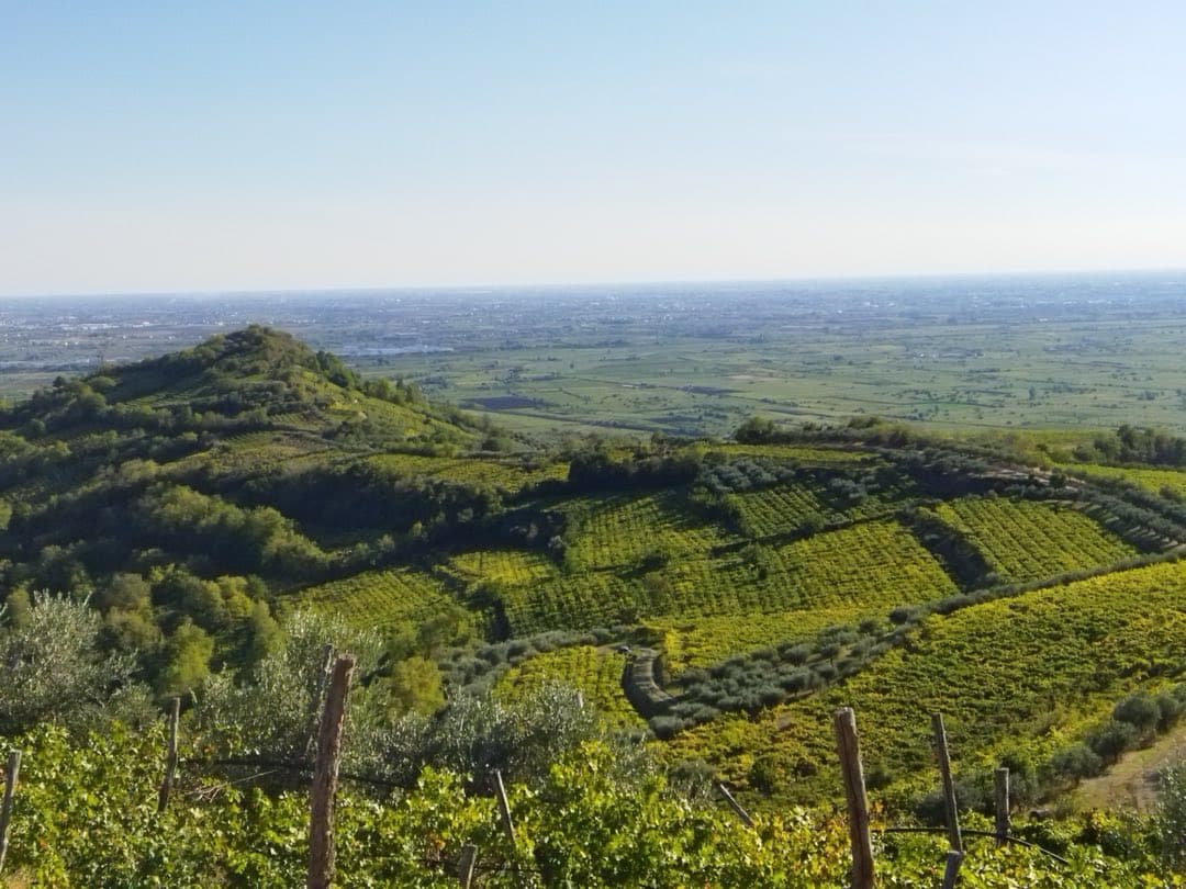 The Ca' del Sette estate seen from above among the vineyards