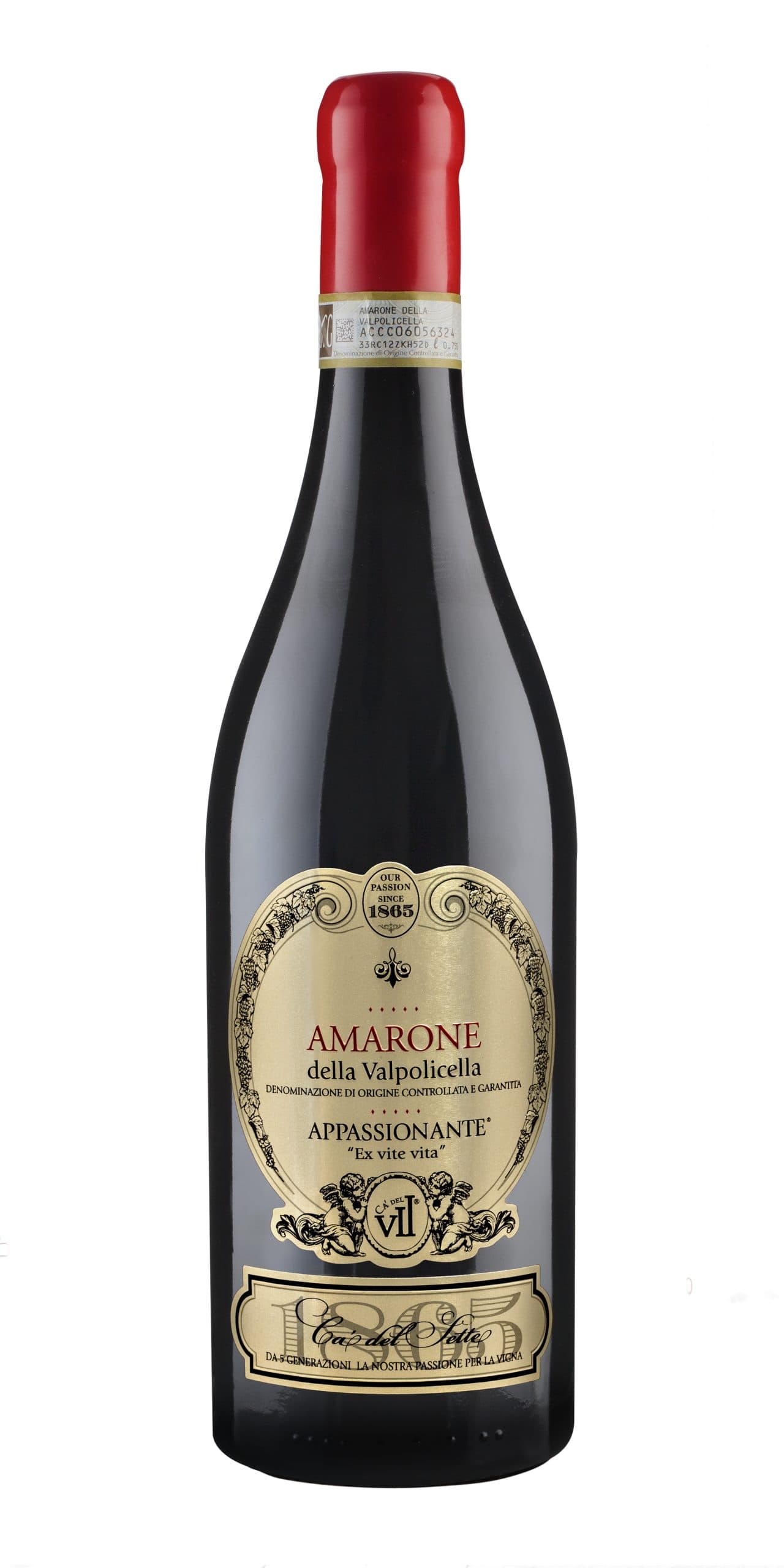 Red Wines Ca' del Sette